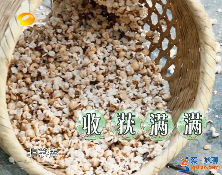 《向往的生活3》池子又炸一锅爆米花，吼声壮胆彭昱畅被震懵
