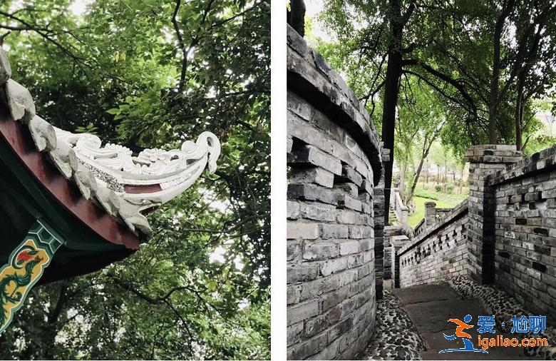 乱逛 | 西珠市街42号，露天停车场旁的园子让人惊