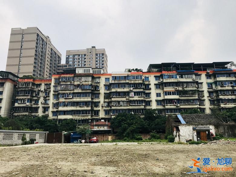 乱逛 | 西珠市街42号，露天停车场旁的园子让人惊