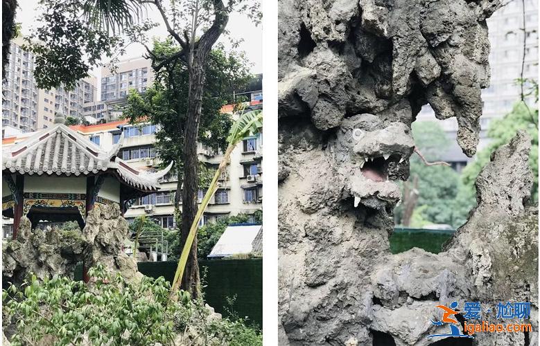 乱逛 | 西珠市街42号，露天停车场旁的园子让人惊