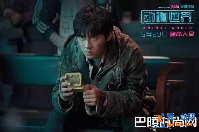 《动物世界》郑开司爸爸怎么死的？和安德森什么关系？