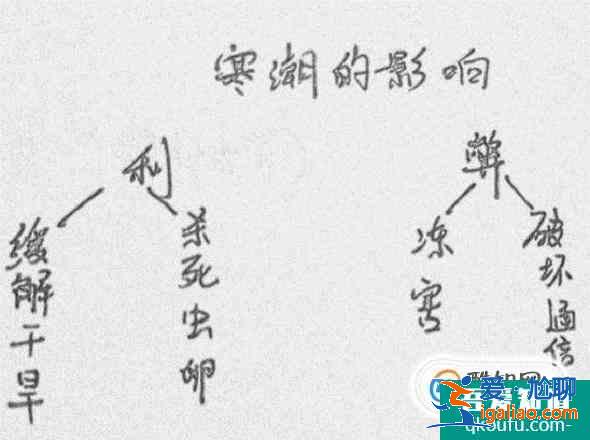 怎样才能快速记忆书本知识？？