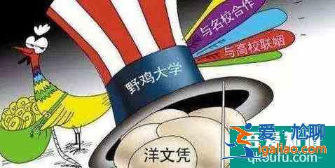 如何识别野鸡大学？