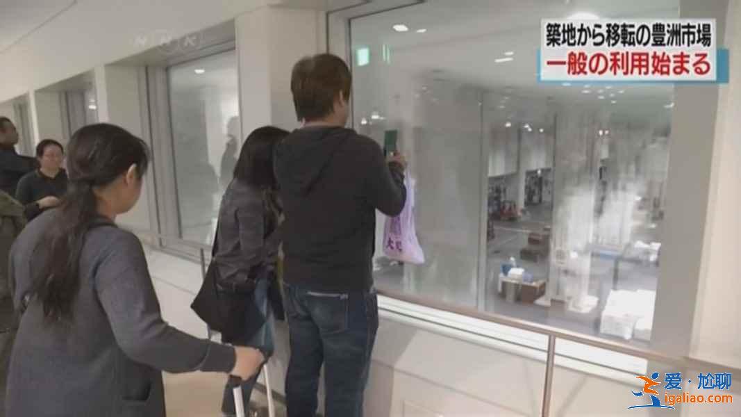 丰洲市场（原筑地市场）怎么玩，丰洲市场攻略？
