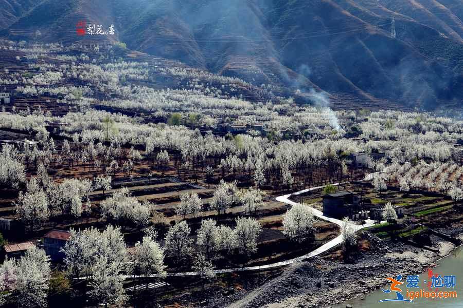 三月国内自驾最美目的地，沿途收获一路风景？