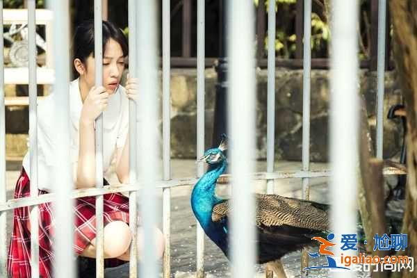 《你的孩子》女高中生吃虫子是真的？