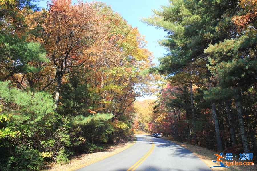 美国自驾游最佳路线推荐,美国自驾游经典线路盘点,美国最美自驾游路线攻略? 美国自驾游最佳路线推荐,美国自驾游经典线路盘点,美国最美自驾游路线攻略?