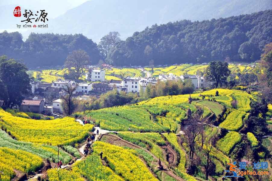 杭州周边自驾游去哪里好,杭州周边适合自驾游的地方,杭州周边自驾游推荐? 杭州周边自驾游去哪里好,杭州周边适合自驾游的地方,杭州周边自驾游推荐?