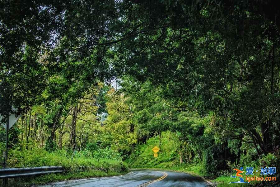 美国自驾游最佳路线推荐,美国自驾游经典线路盘点,美国最美自驾游路线攻略? 美国自驾游最佳路线推荐,美国自驾游经典线路盘点,美国最美自驾游路线攻略?