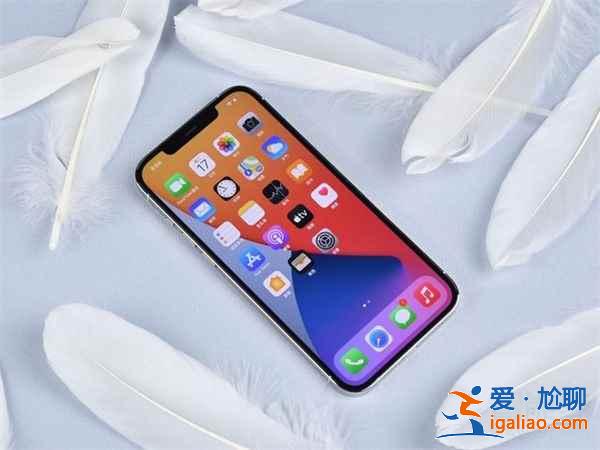 iphone12 pro max手机大吗？