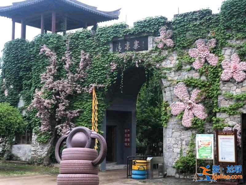 武汉春季赏花指南，武汉春季去哪儿赏花踏青，武汉适合春游的好地方？