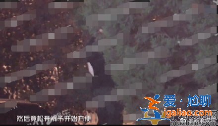 钢琴王子？李云迪喝多竟深夜随地小便？