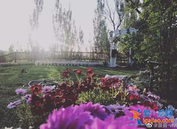 章子怡一顿饭只吃四口维持的少女颜，却被沈月的这个操作碾压