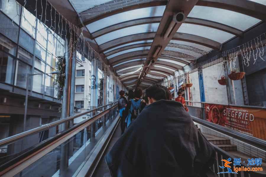 香港自由行怎么玩，搭乘叮叮车体验多元之旅？