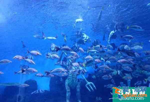 受疫情影响昆明花都海洋世界暂时闭馆2021年12月？