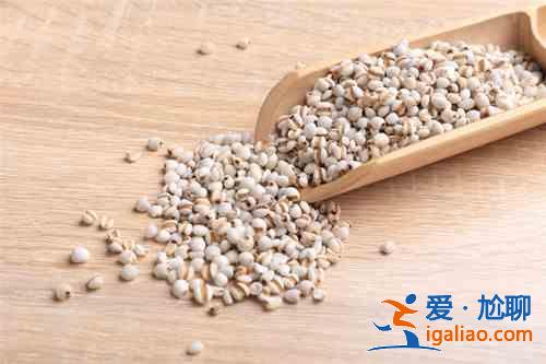 薏米怎么吃最除湿 这几种方法要记住？