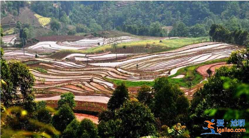 成都周边小众景点,成都周边有哪些人少的地方? 成都周边小众景点,成都周边有哪些人少的地方?