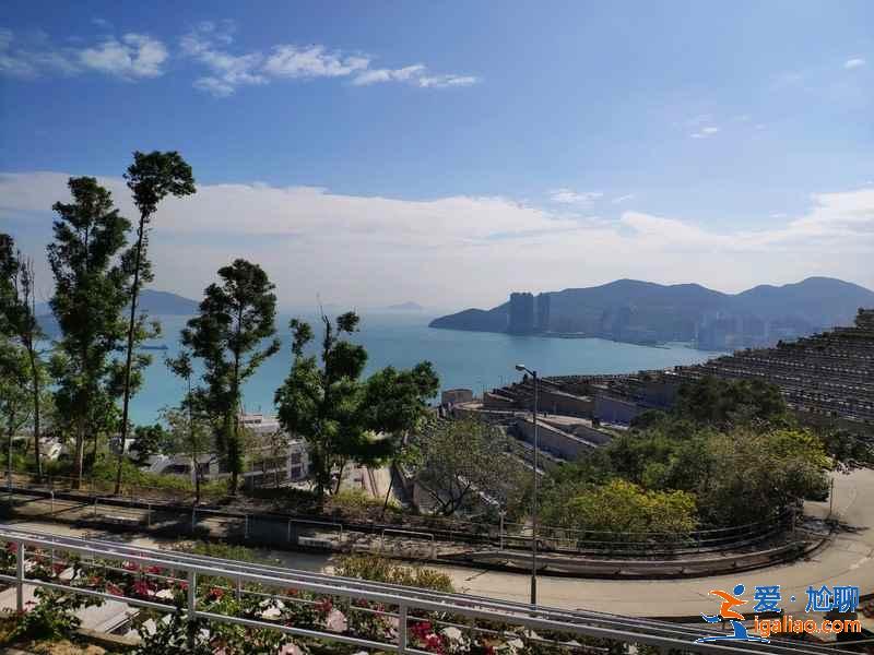 香港3月赏樱去哪儿好？香港3月赏樱5大推荐地，香港3月赏樱攻略？