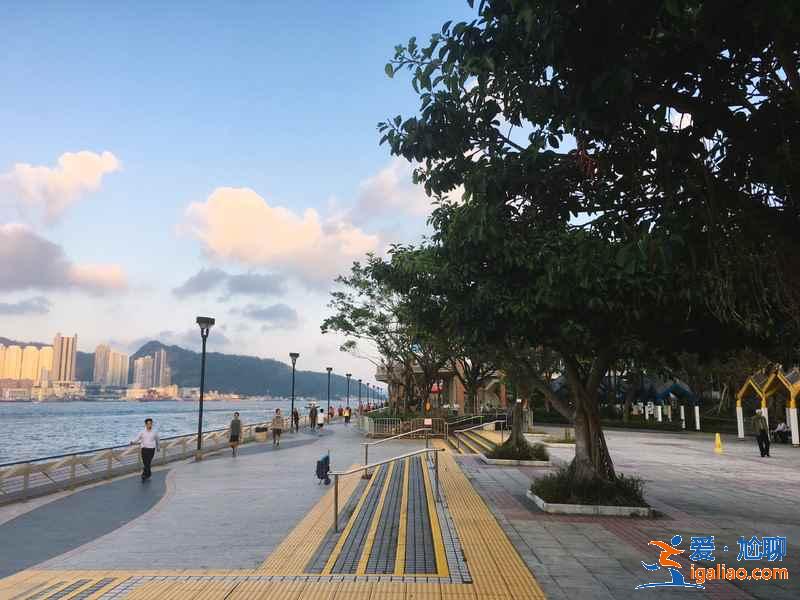 香港3月赏樱去哪儿好？香港3月赏樱5大推荐地，香港3月赏樱攻略？