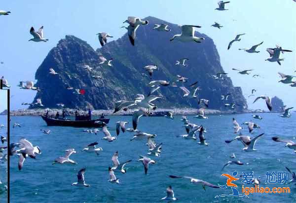 山东适合自驾游的地方,山东自驾游去哪里好玩? 山东适合自驾游的地方,山东自驾游去哪里好玩?