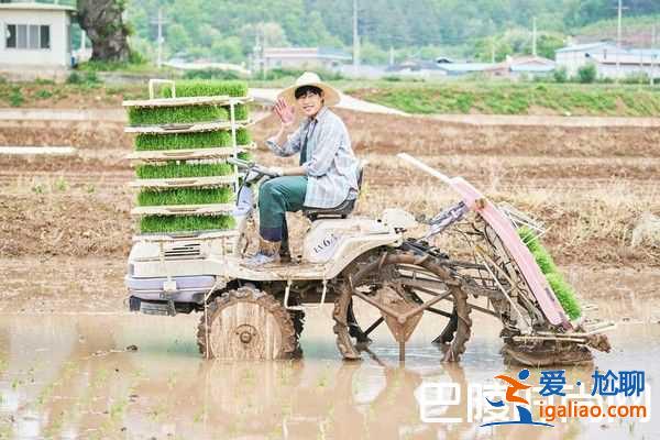 韩国翻拍《小森林》 柳俊烈金泰梨变农夫？