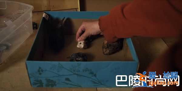 《宿怨》8个细节注意到吗？彩蛋伏笔揭秘？