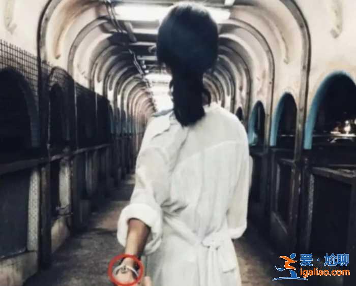 她才是娱乐圈真正的手段王！