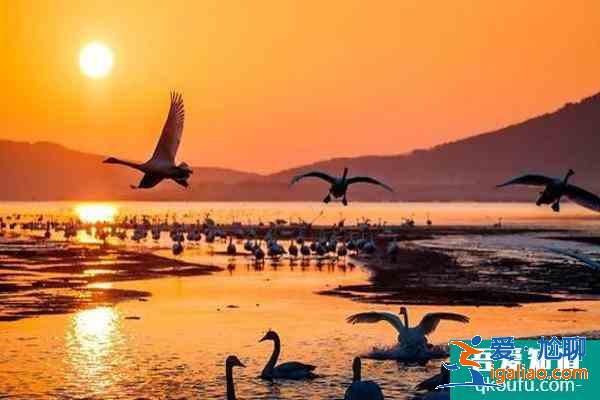 冬天去哪旅游合适 国内这些小众地方天气暖和还有花看？