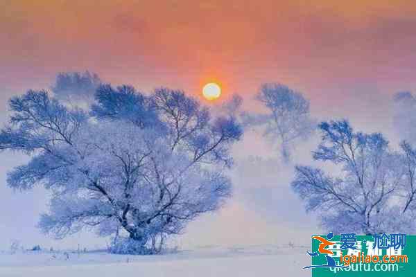 冬天去哪旅游合适 国内这些小众地方天气暖和还有花看？