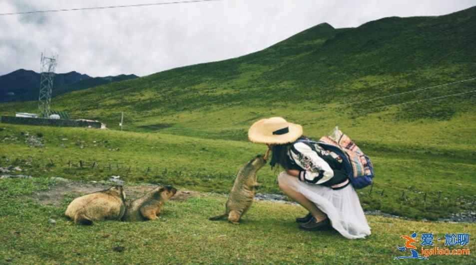 一个人适合去哪儿玩？国内适合独自旅行的8个地方，我想去第7个，你呢？？
