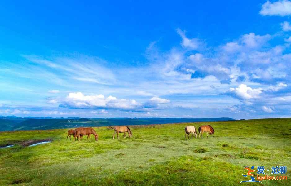 贵阳哪里适合春天游玩，贵阳春游该去哪里，贵阳春游游玩路线？