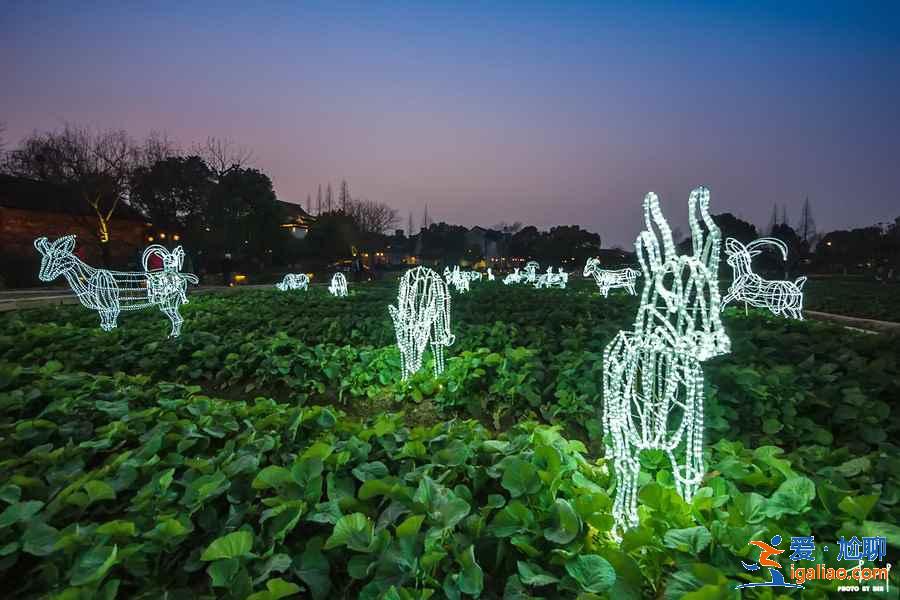 春节乌镇有哪些民俗活动，春节乌镇天气怎么样，春节乌镇行前攻略？