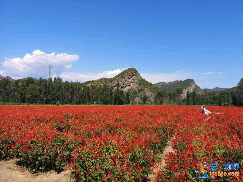 北京周边好玩的地方有哪些，北京周边游推荐，北京周边游攻略？
