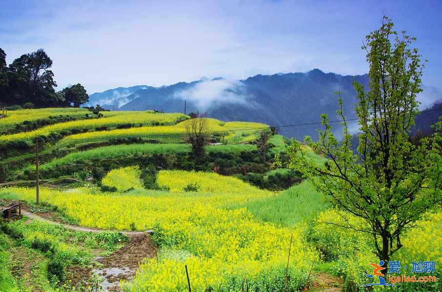 4月去婺源穿什么衣服，婺源4月当地气温，婺源4月游玩穿衣指南？