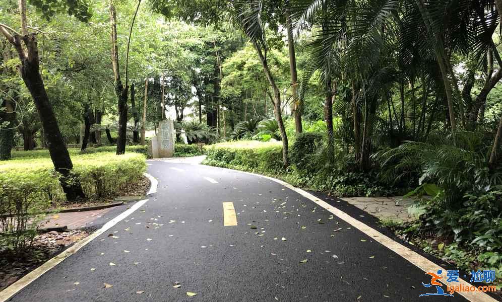 深圳去茂名怎么玩，深圳周末去茂名好玩吗，深圳出发茂名旅游攻略？