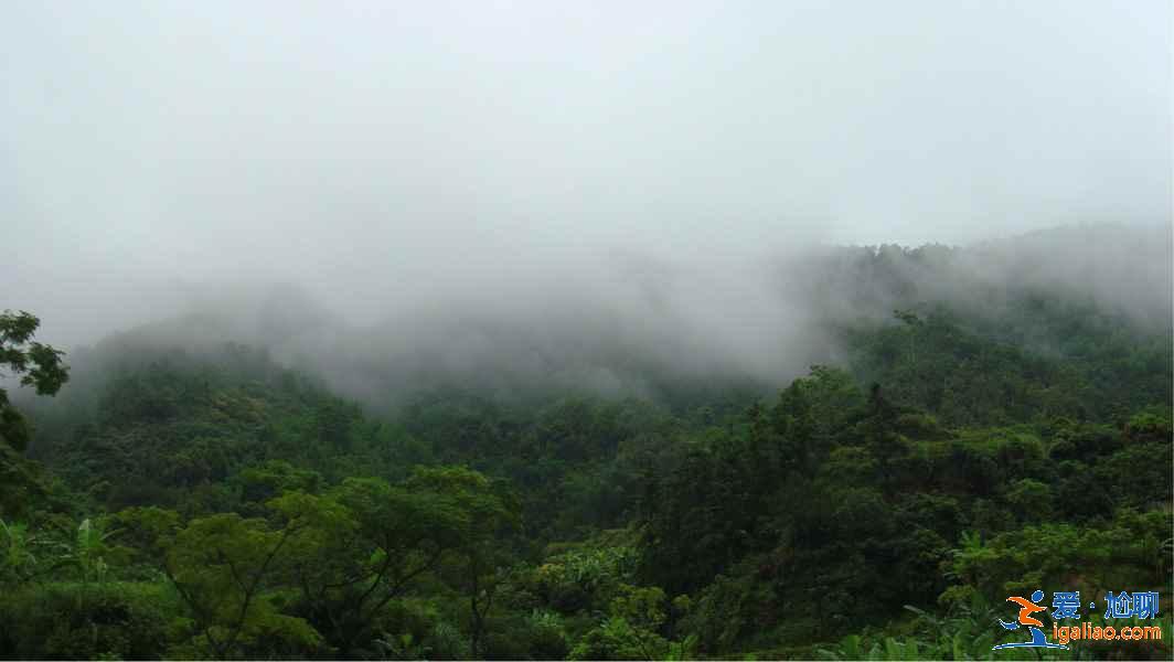 深圳去茂名怎么玩，深圳周末去茂名好玩吗，深圳出发茂名旅游攻略？