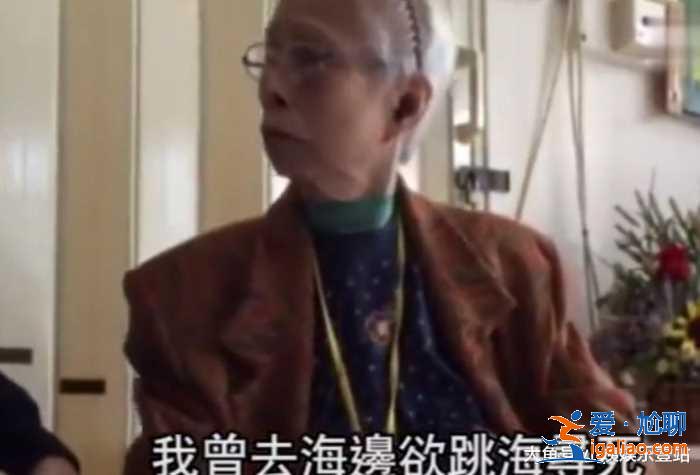 担忧郭碧婷，向家不仅有花心的兄弟和欲跳海的姐姐，还有很多故事