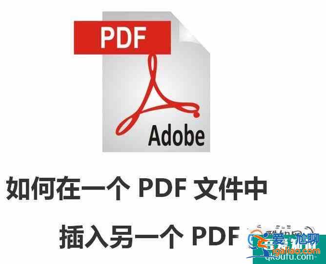 如何在一个PDF文件中插入另一个PDF文件？？