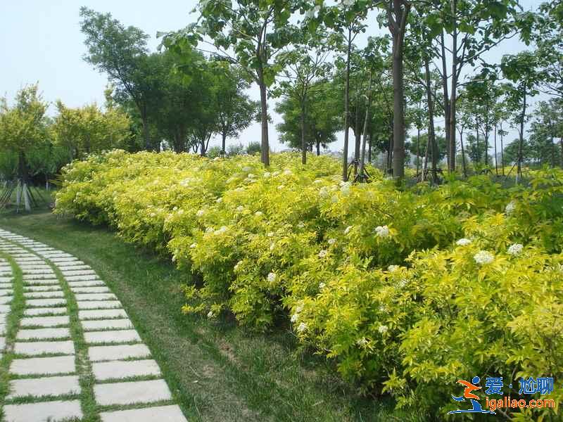 天津踏青好去处，天津踏青游玩推荐，天津踏青攻略？