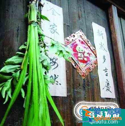 端午节手抄报上写什么？？