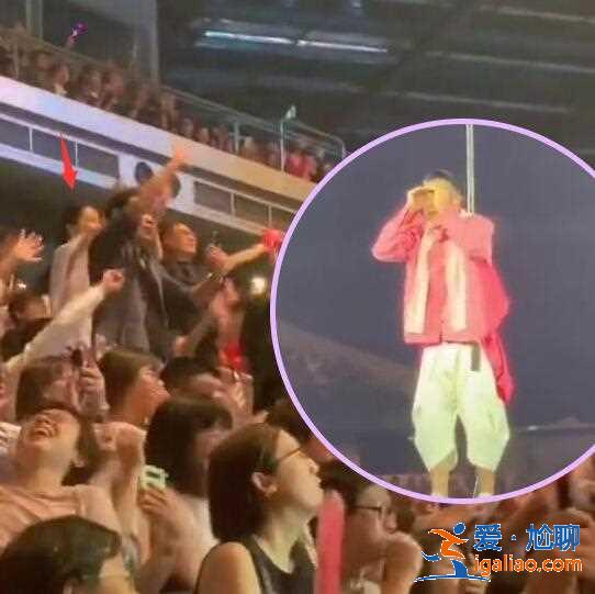 朱丽倩现身刘德华演唱会，热情摇摆示爱镜头被歌迷录下