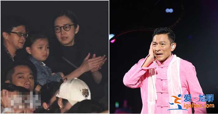 朱丽倩现身刘德华演唱会，热情摇摆示爱镜头被歌迷录下