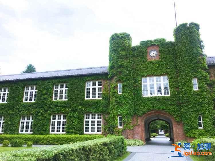 东京最美的大学在哪里，东京最美高校是哪所，东京最美大学攻略？