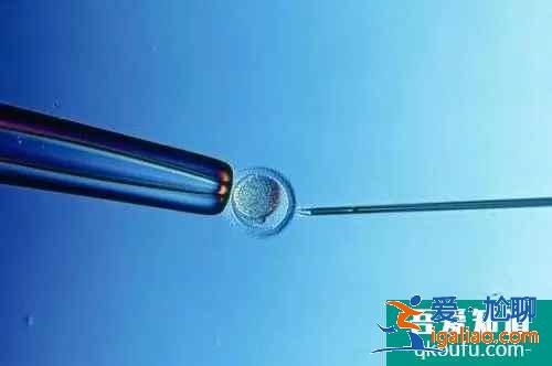 单身女性可以做试管婴儿吗?? 单身女性可以做试管婴儿吗??