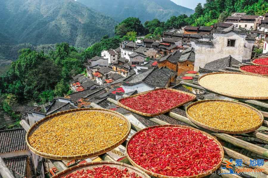 婺源亲子游去哪玩，婺源亲子游景点推荐，婺源带娃去哪里好玩？