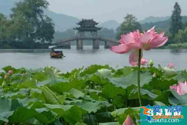 山西大禹渡黄河风景区因景区改造原因暂时闭园？