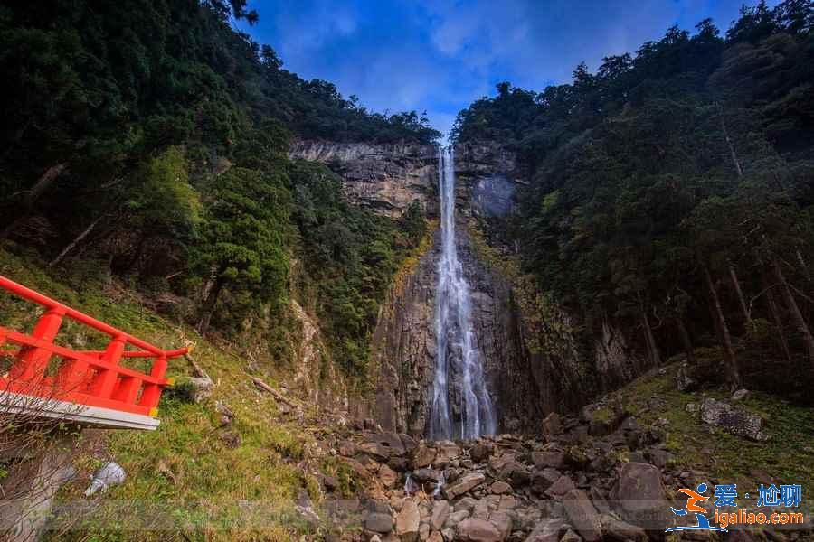 日本和歌山怎么玩，日本和歌山游玩攻略，日本和歌山景点推荐？