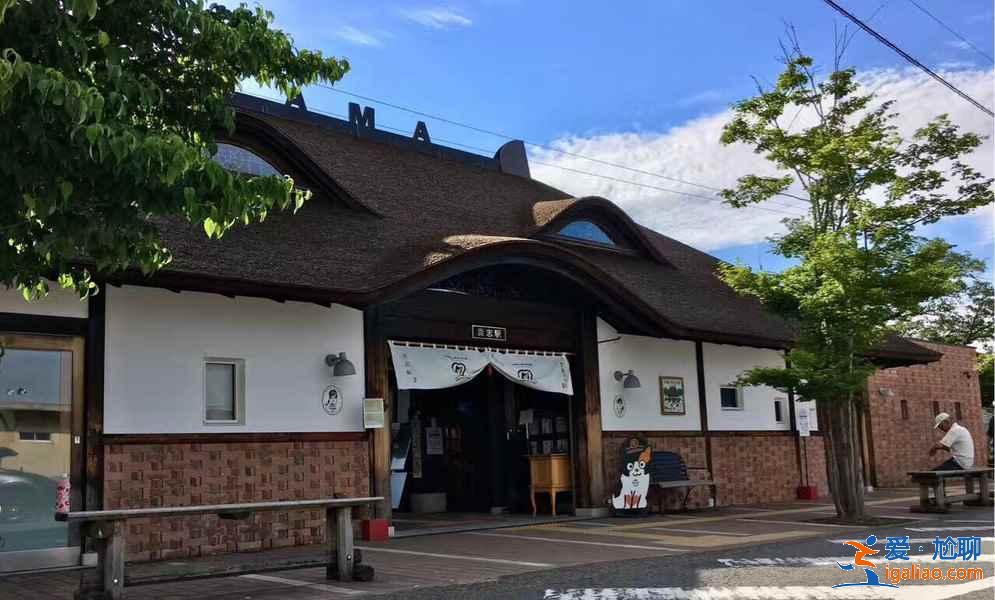 日本和歌山怎么玩，日本和歌山游玩攻略，日本和歌山景点推荐？