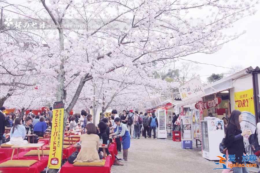 京都赏樱人少的地方有哪些？京都赏樱小众景点推荐？