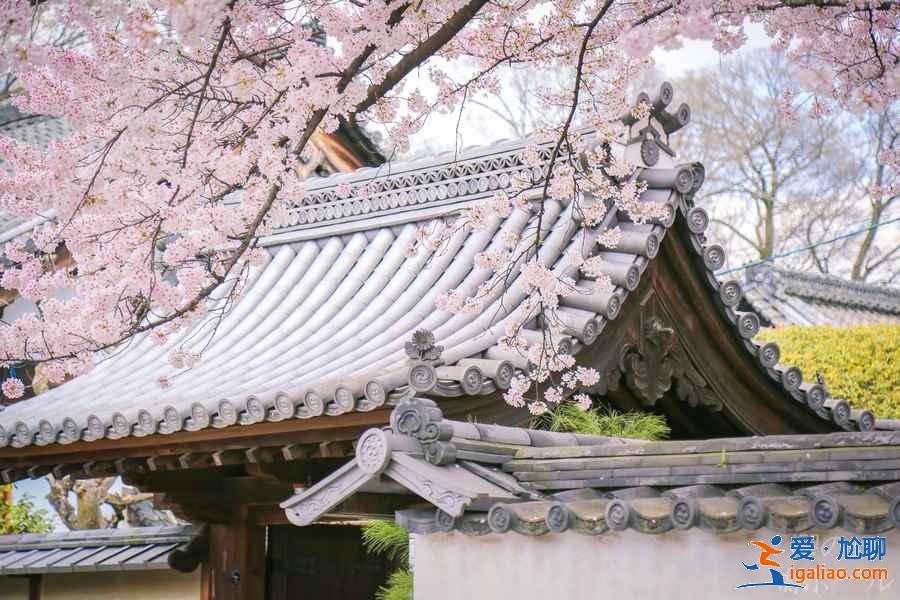 京都赏樱人少的地方有哪些？京都赏樱小众景点推荐？
